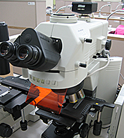 형광현미경